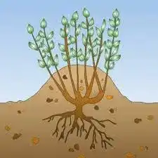 Illustration du cours