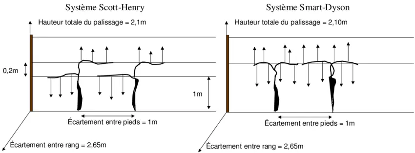 Illustration du cours