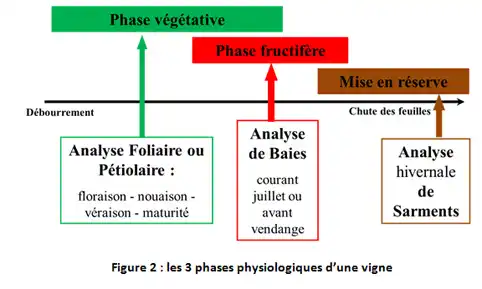 Illustration du cours