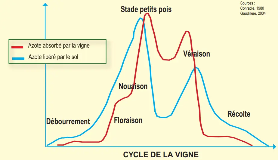 Illustration du cours