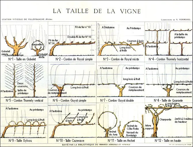 Illustration du cours