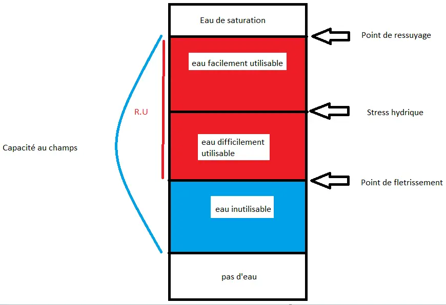 Illustration du cours