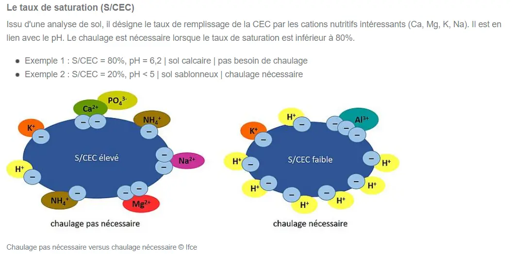 Illustration du cours
