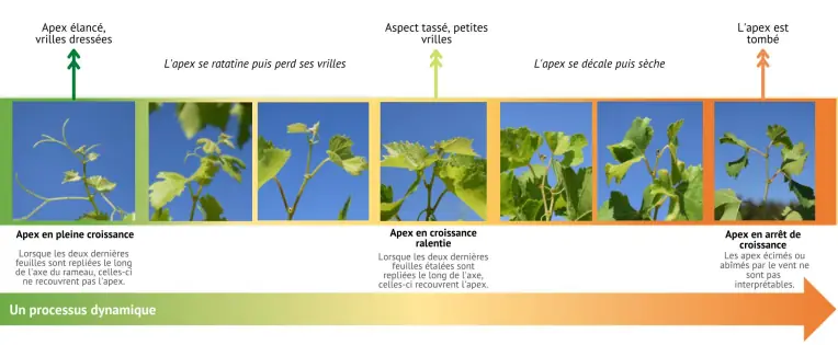Illustration du cours