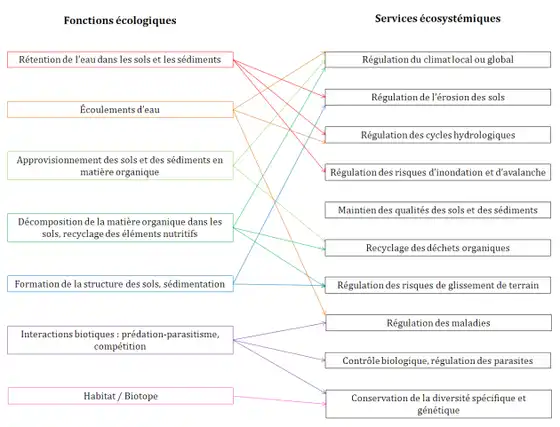 Illustration du cours
