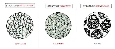 Illustration du cours