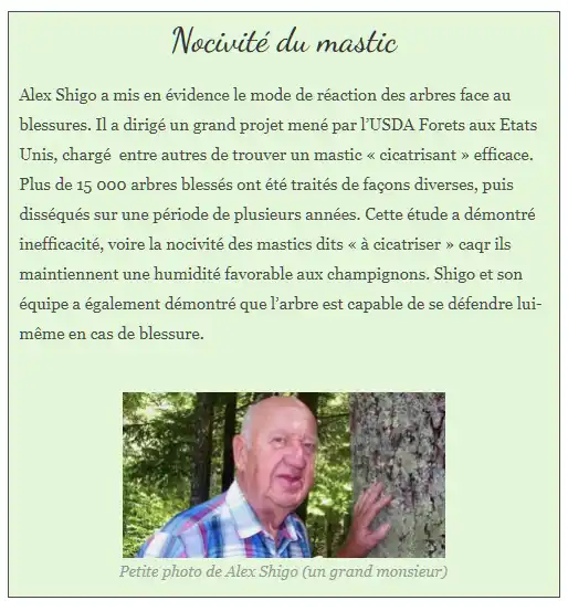 Illustration du cours