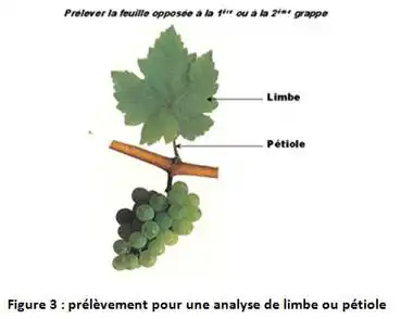 Illustration du cours