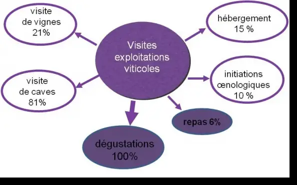 Activités pratiquées par les visiteurs dans les exploitations viticoles (données de la fin des années 2000)