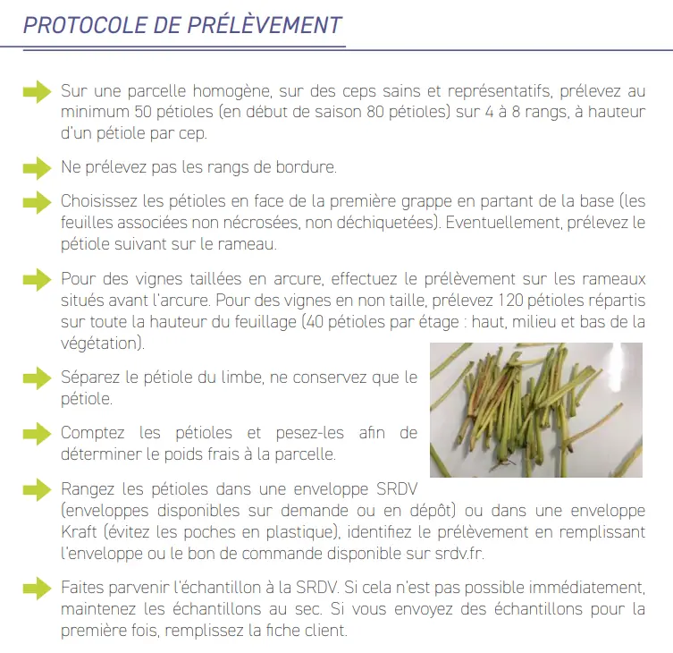 Illustration du cours