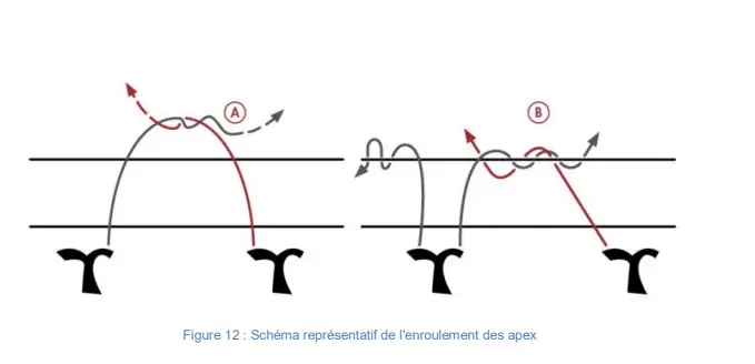 Illustration du cours
