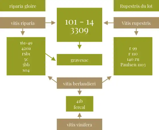 Illustration du cours