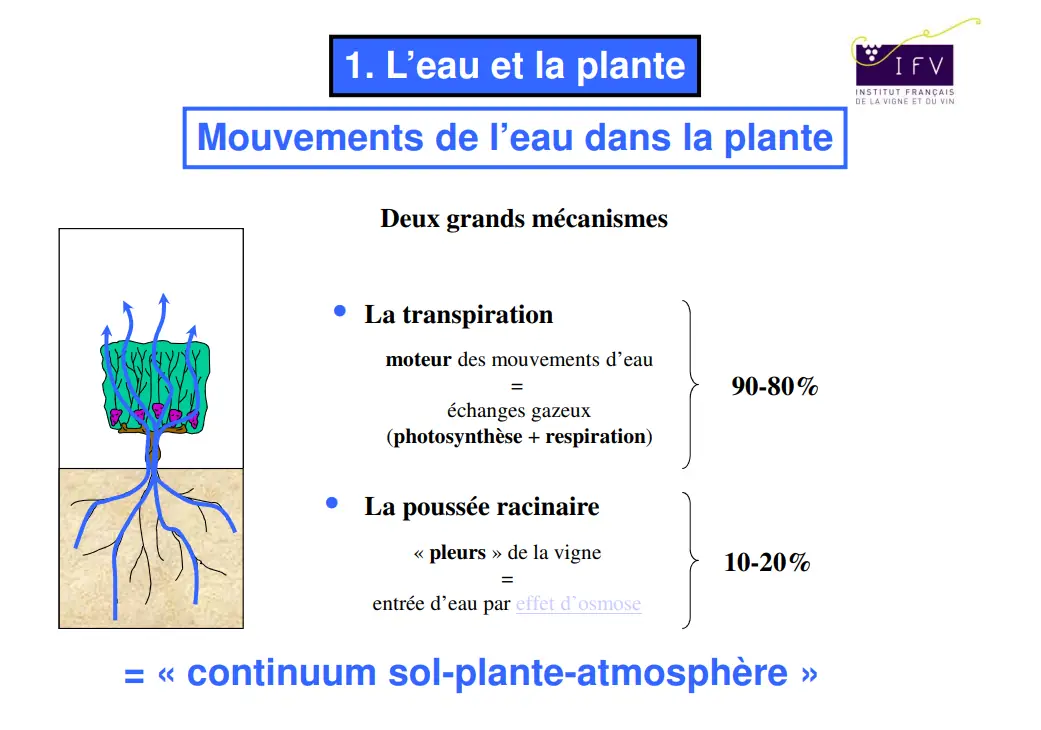 Illustration du cours