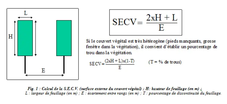 Illustration du cours