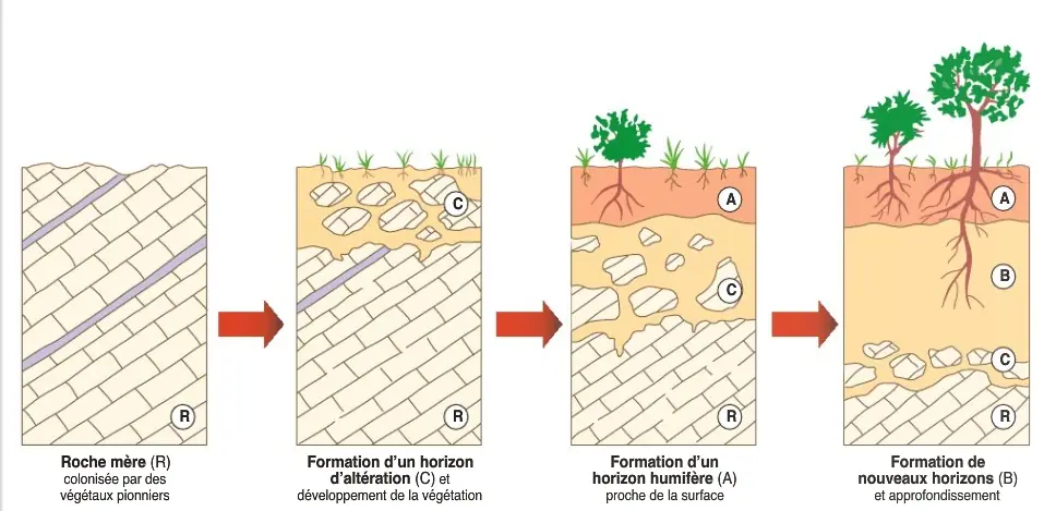 Illustration du cours