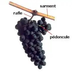 Illustration du cours