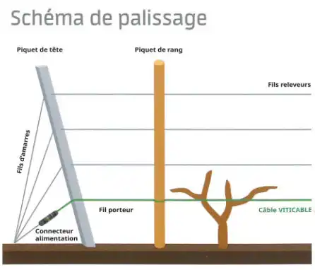 Illustration du cours
