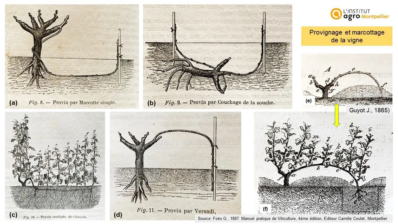 Illustration du cours
